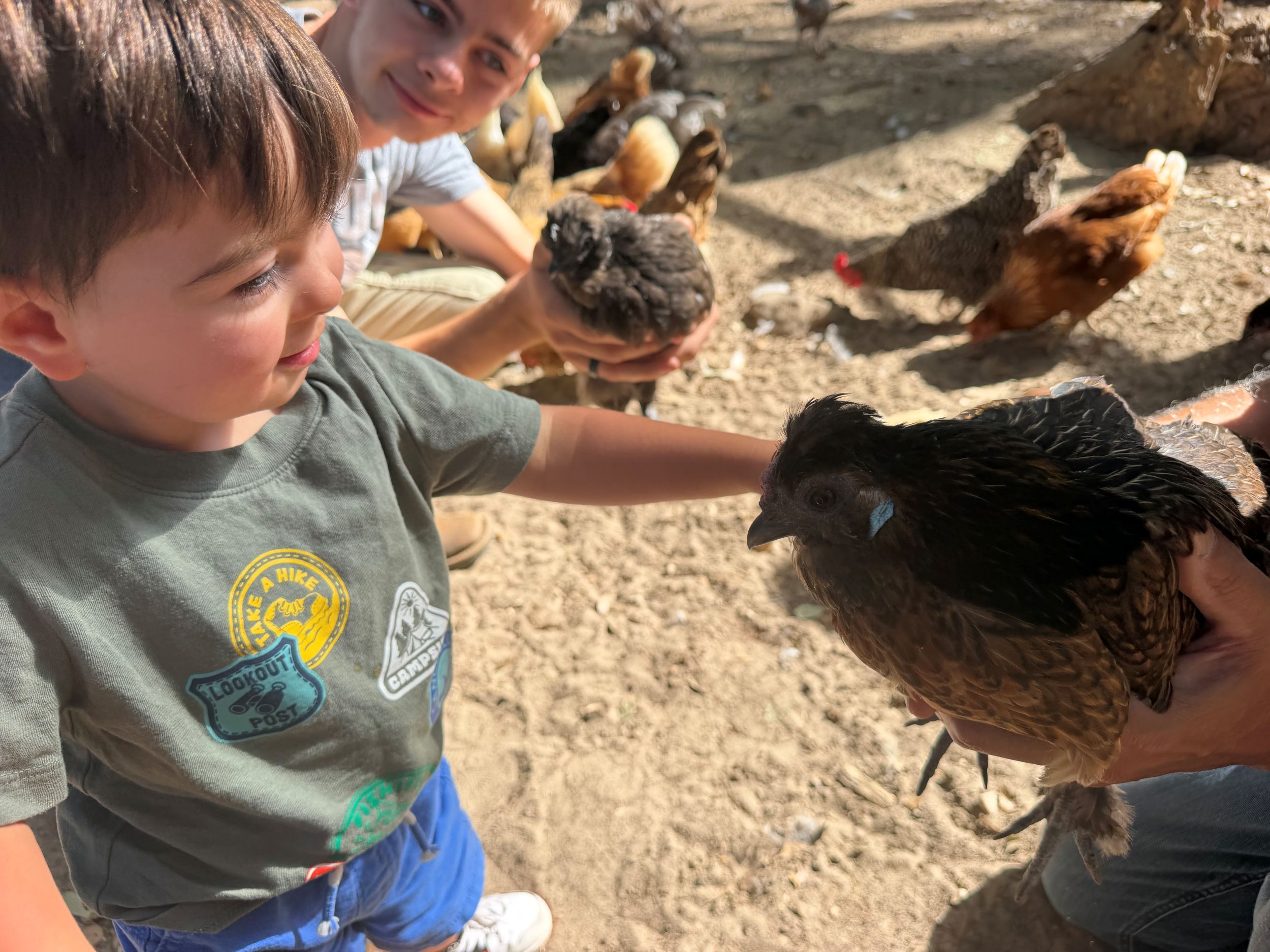 Feeding chickens at Elijah's Retreat