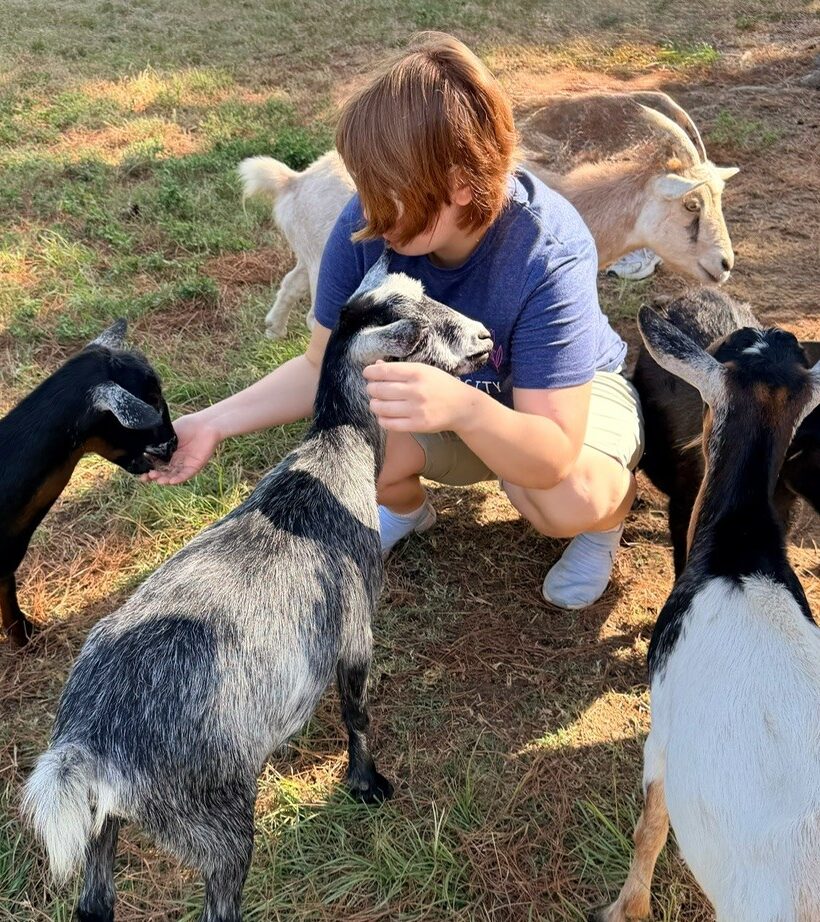 Family experience at Elijah's Retreat